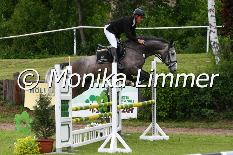 204M0462_Clear Roud_Spr_Pferde_A.JPG